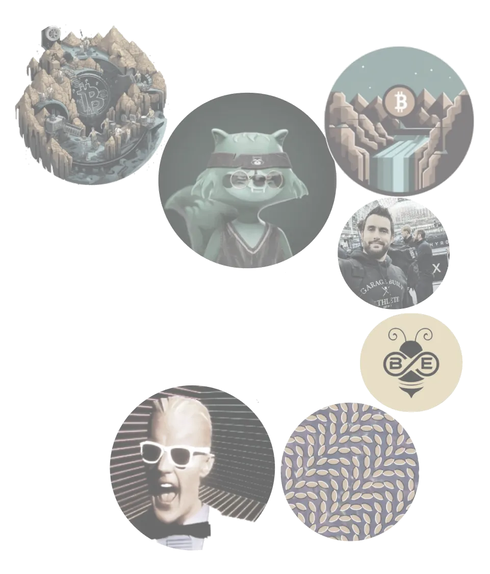 Multiple profile pictures from members of the discord server arranged in bubbles.